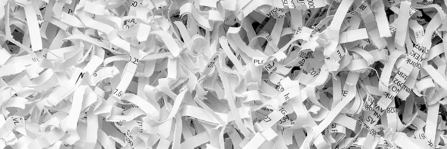 Pieces of shredded paper